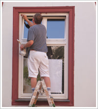 Window Protection